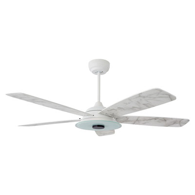 Ventilateur de plafond standard à 52 pales 52 po DEL avec télécommande et ensemble d'éclairage