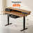 Jeneffer Computer Standing Desk with 4 Drawers for Home Office，Electric Height Adjustable Gaming Desk with Storage Shelf-1989946105-1990801292