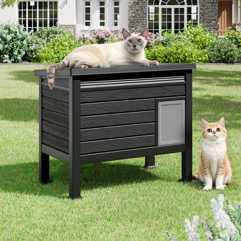 Maison pour chat avec plancher surélevé, abri pour chat extérieur