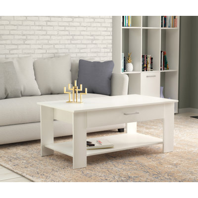 Keaisa Coffee Table with Storage
