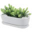Indoor White Ceramic Succulent Pot Planter