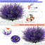 Arrangement