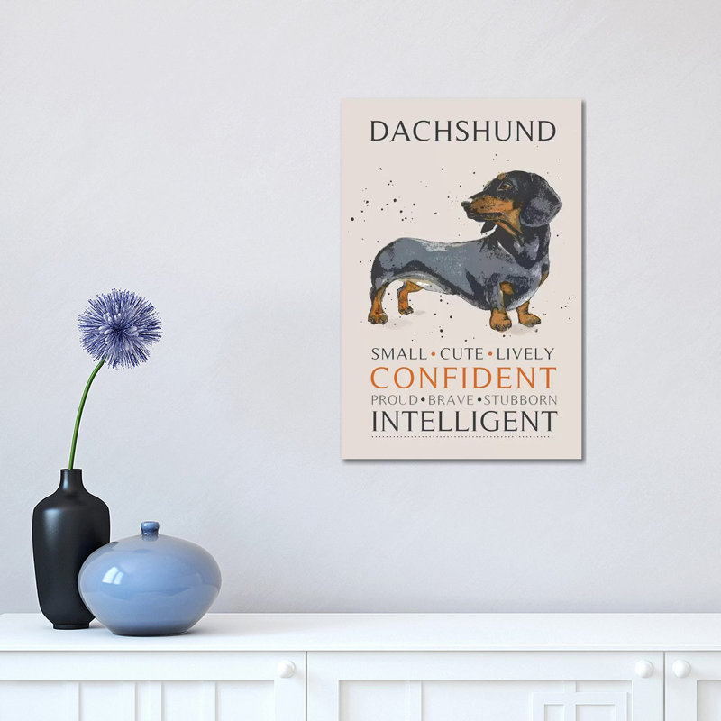 Dachshund by Michelle Campbell - Print on Canvas, Wrapped Canvas, 30.48 cm H x 45.72 cm W
