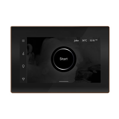 iSteamX Steam Shower Control and Steamhead