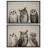 Bird " Owls Animal " 2 - Pieces-100135985-100135989