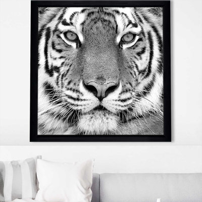 " Tiger " by Photoinc Studio
