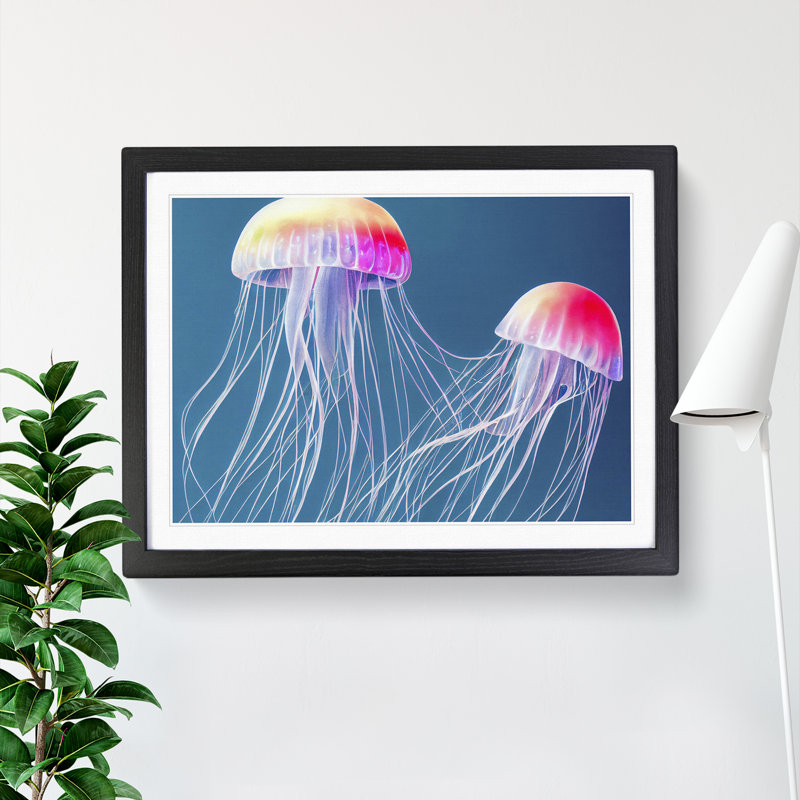Jellyfish Vol.6 - Single Picture Frame Print, Black Framed, 34cm H x 46cm W x 2cm D