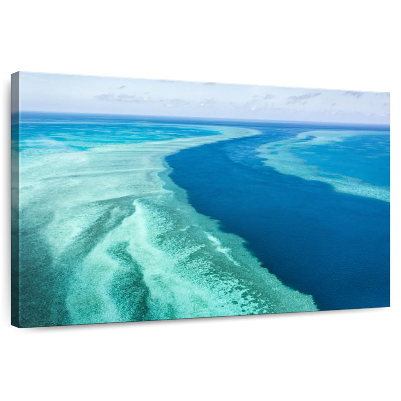 Alvord Great Barrier Reef, 20" H x 30" W