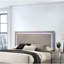 Mobilier de chambre à coucher contemporain avec tête de lit à finition UV et tête de lit taupe clair 1pc-1112409134