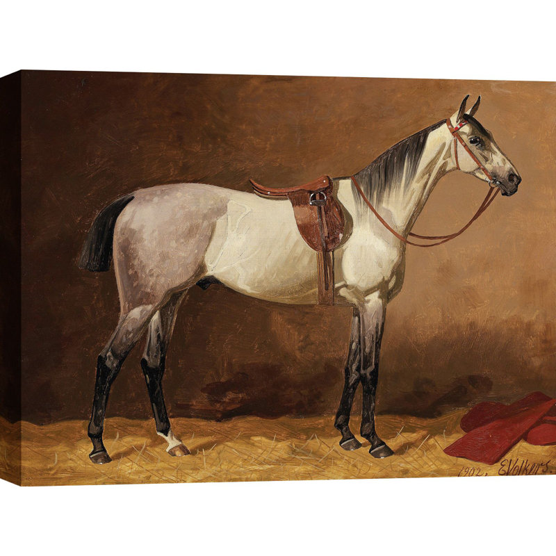 Saddled Sport Horse by Emil Volkers - No Frame Art Prints on Canvas, 50cm H  x 70cm W  x 4cm D