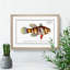 Great-Scaled Umber Fish by M.E. Bloch - Framed Print-55575259-55575260