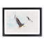 Pair of Flying Seagulls - Framed Print-56851880-56851883