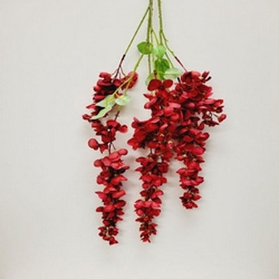 Jet de glycine suspendu