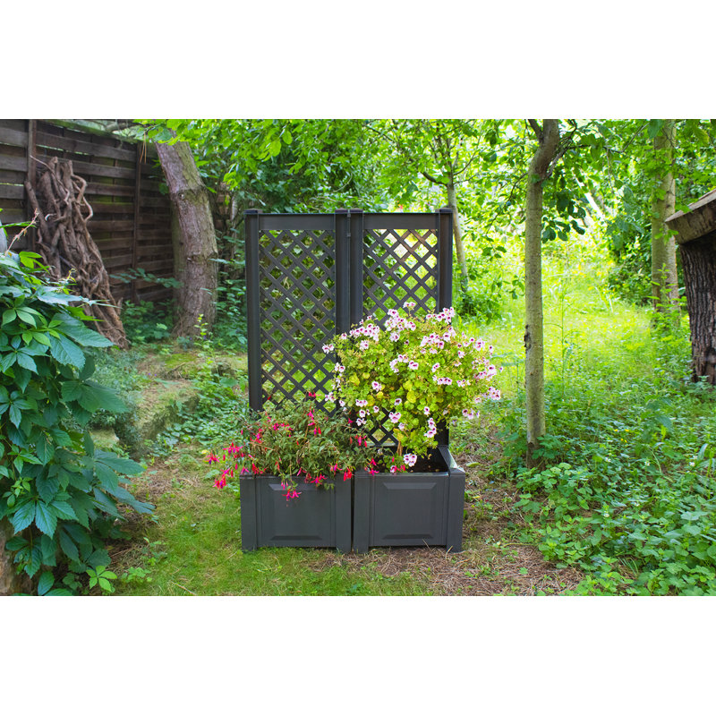 Aalisha Planter Box, Anthracite, Set of 2