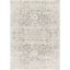Oriental Indoor Rug-22619430