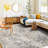 Traditional Medallion Durable Performance Gray/Beige Area Rug-1502369853