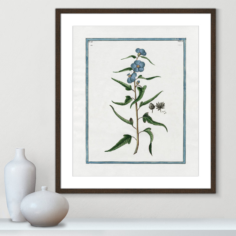 Colombe Shabby Elegance Botanical I - Art encadré avec fond perdu, L 21,5 po x H 25,5 po, Cadre noyer