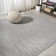 Ammons Modern Flatweave Solid Gray Indoor/Outdoor Rug