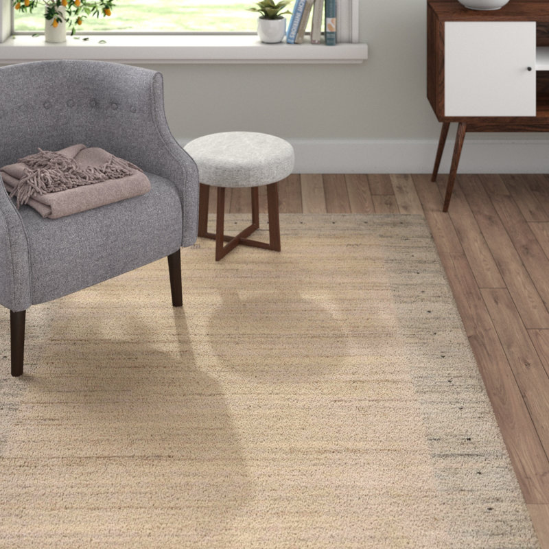 Piotrowski Hand Woven Area Rug, Rectangular 300 x 400cm