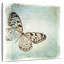 Brampt papillon flottant I-109369239