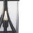 Seagraves Seeded Lantern Head-387798374