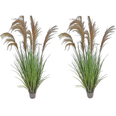 59 " H Faux Pampas Grass
