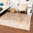 Oriental Indoor Rug-1210177609