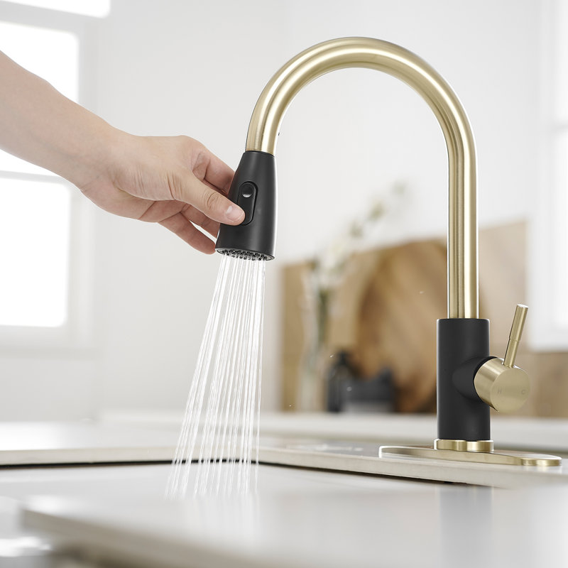 VIBRANTBATH Pull Out Kitchen Faucet, Black/Gold