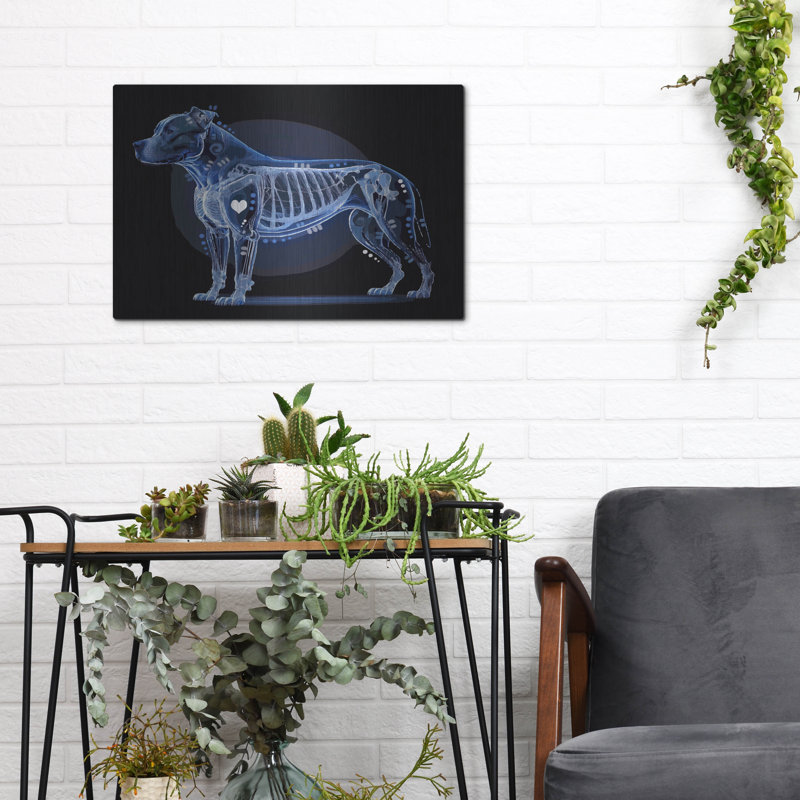  «Xray Pitbull» par Dean Russo, art mural en métal, 16 po x 12 po, H 12 po x l 16 po