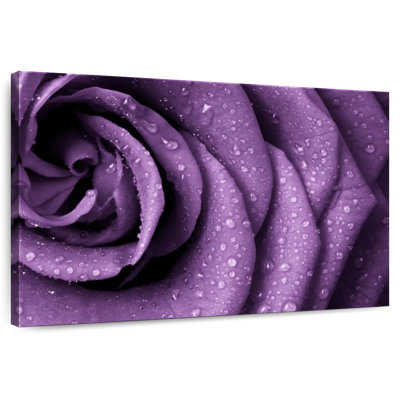 Harnek Dewy Violet Rose