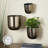 Magdalena 3-Piece Round Iron Wall Planters -2059334783