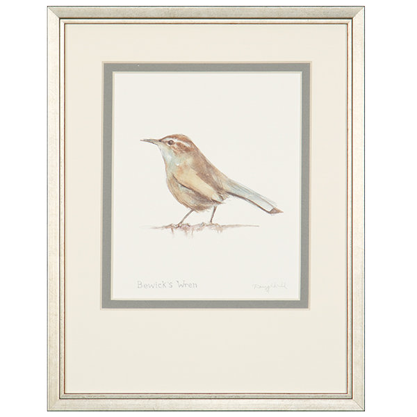 Bewick's Wren Print