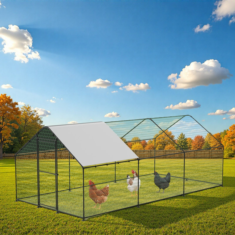 Grande cage à poules en métal pour cour avec abri 6,6 x 6,6 x 7,2 pi, H 78,7 po x l 118,1 po x P 235,2 po