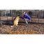 Clôture pour chien Pet Worldog-110539025