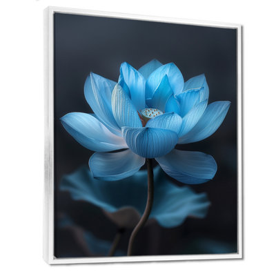 Bleu monochromes lotus rayonnants I - Lotus Wall Art Living Room