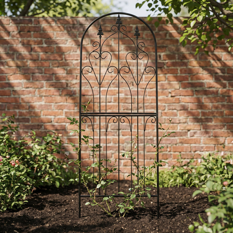Structure de support en fer pour plantes grimpantes H 70,9 po x l 25,6 po