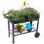 Jardinière mobile surélevée en métal avec roulettes et tablette de rangement inférieure, bac à fleurs ergonomique pour jardin et terrasse, noir