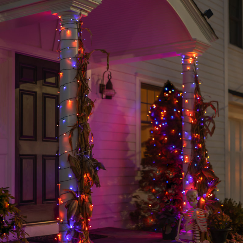 Edie Outdoor 125 - Bulb 68'' Solar Powered LED Wide Angle LED String Light, Orange/Purple