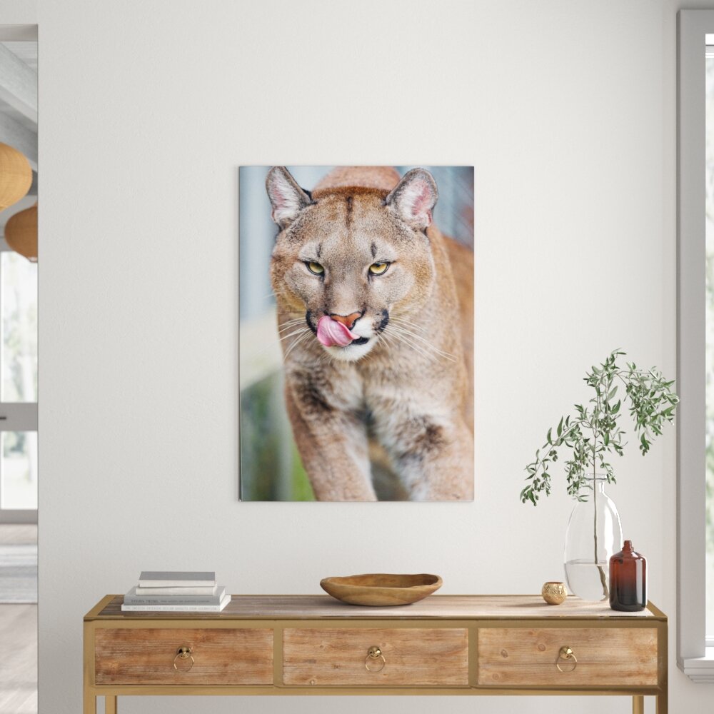 Leinwandbild Anmutiger Puma