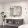 Gervon Rectangle Recessed Medicine Cabinet with Shelves