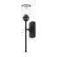 Agenor Steel Armed Sconce