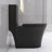 Matte Black Elongated One Piece Toilet Dual Flush 1.1/1.6 GPF Water Saving Map 1000G,Matte Black-123310603
