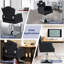 Chaise de bureau Sollars Sponge