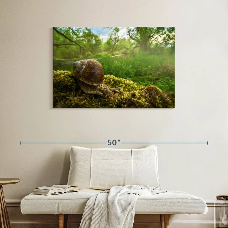 Escargot de jardin romain, H 26 po x l 39 po