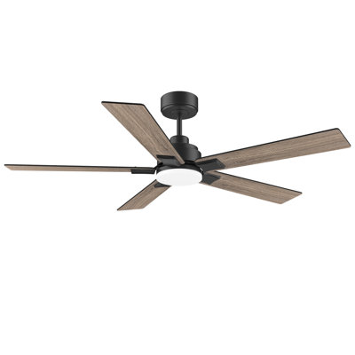 Ventilateur de plafond noir à 5 pales 42 po avec lumière DEL pour l'intérieur et l'extérieur, télécommande, à intensité variable