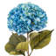 Tige d'hortensia de 42 po-1510644042-1510644020
