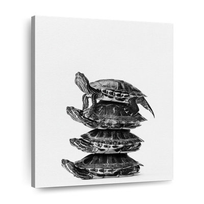 «Stacked Four Turtles», reproduction sur toile tendue