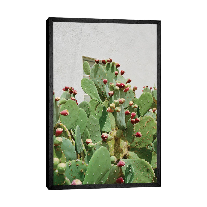 Desert Cactus II 1 Piece Wall Art on Canvas, 101.6 cm H x 66.04 cm W, Black Floater Frame