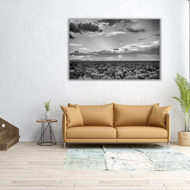 Sauge américaine - reproduction d'art sur toile, H 20 po x l 30 po