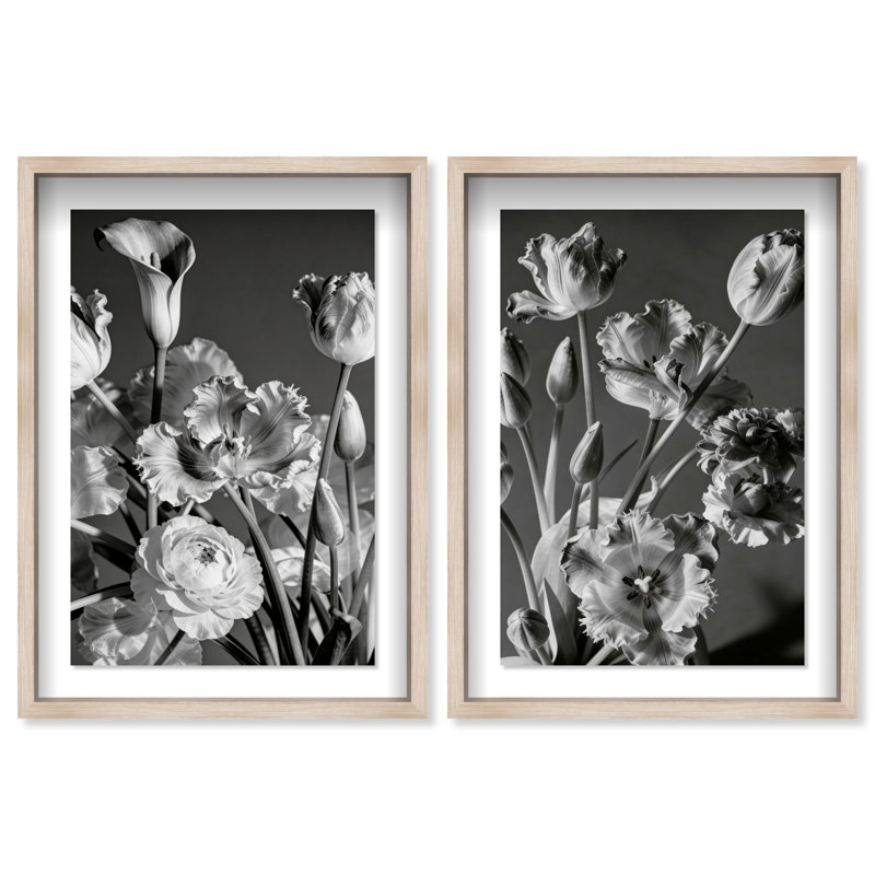 Botanique Noir Set Set by Oliver Gal, 25" H x 17" W, Natural Oak Shadowbox